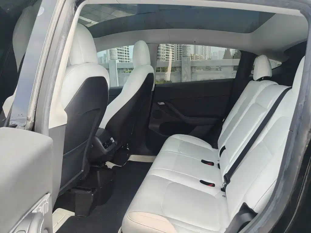 Tesla Model Y — миниатюра 8