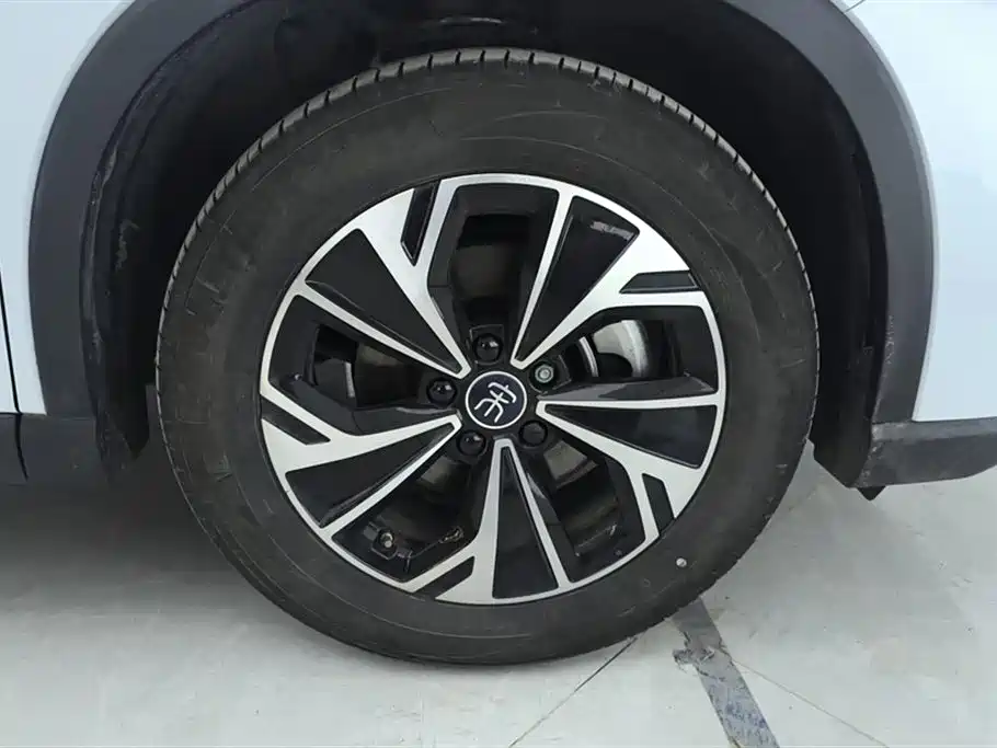 BYD SONGJIANG NEW ENERGY