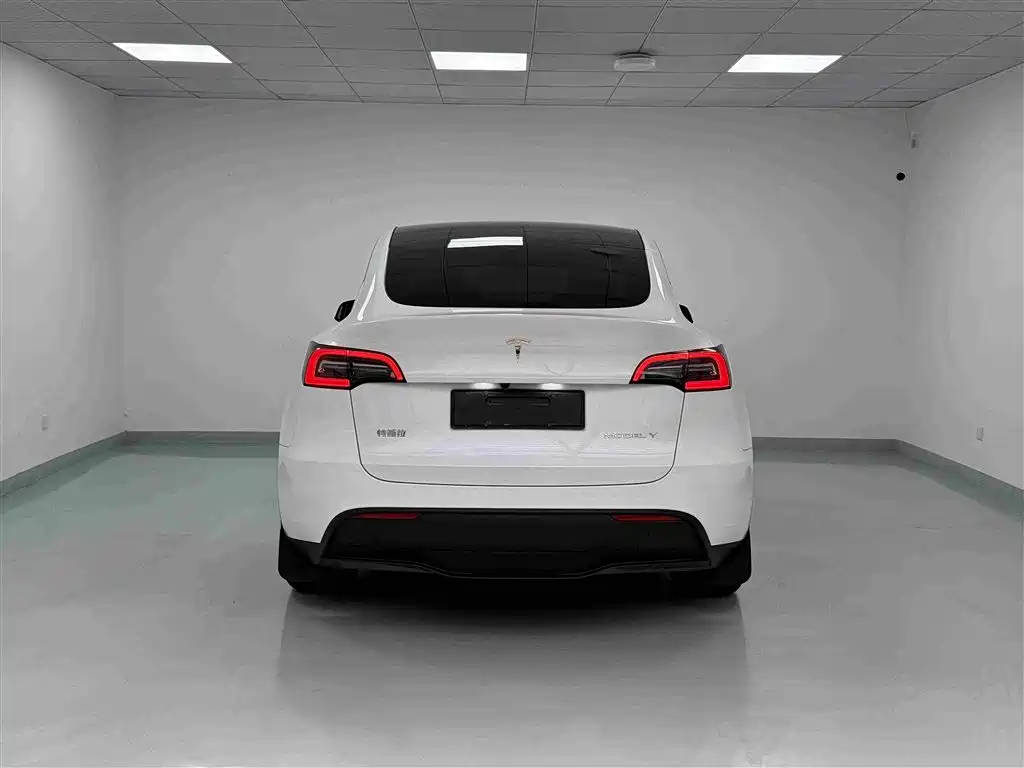 Tesla Model Y — миниатюра 18