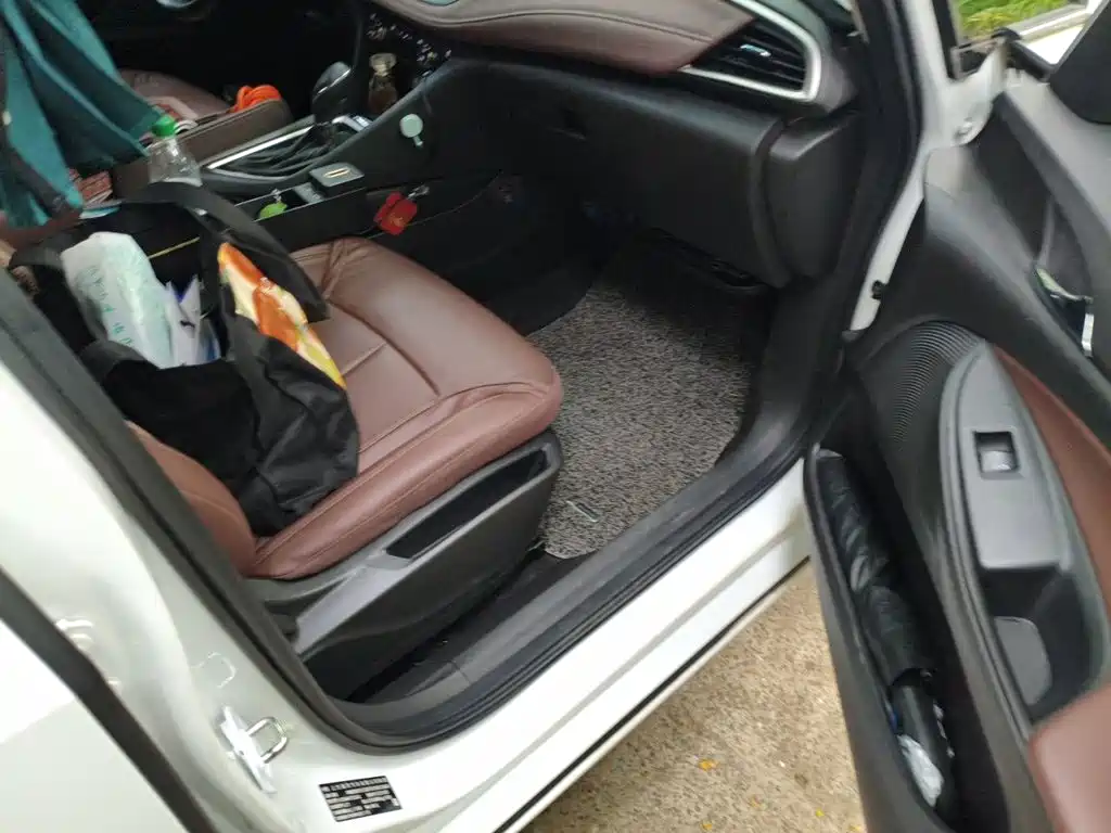 Buick GL6 — миниатюра 19