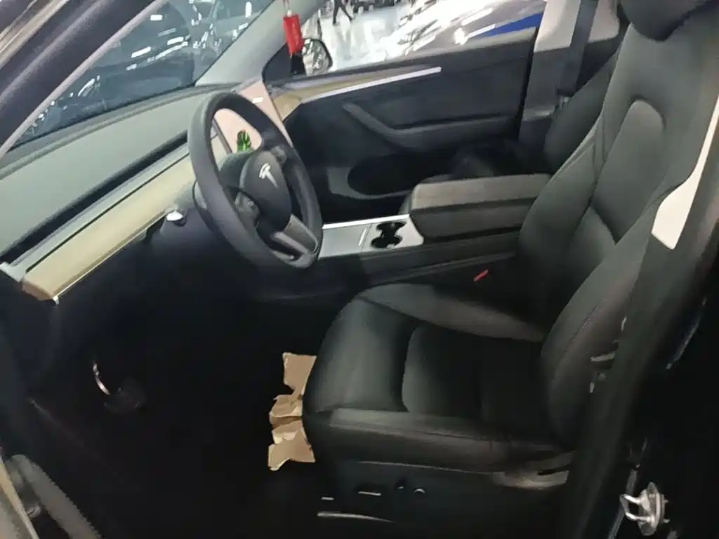 Tesla Model Y — миниатюра 15