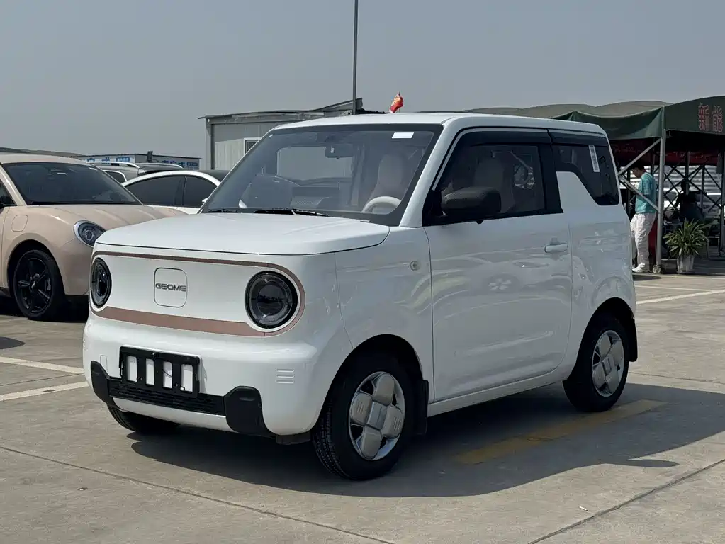 Galaxy Panda 2024
