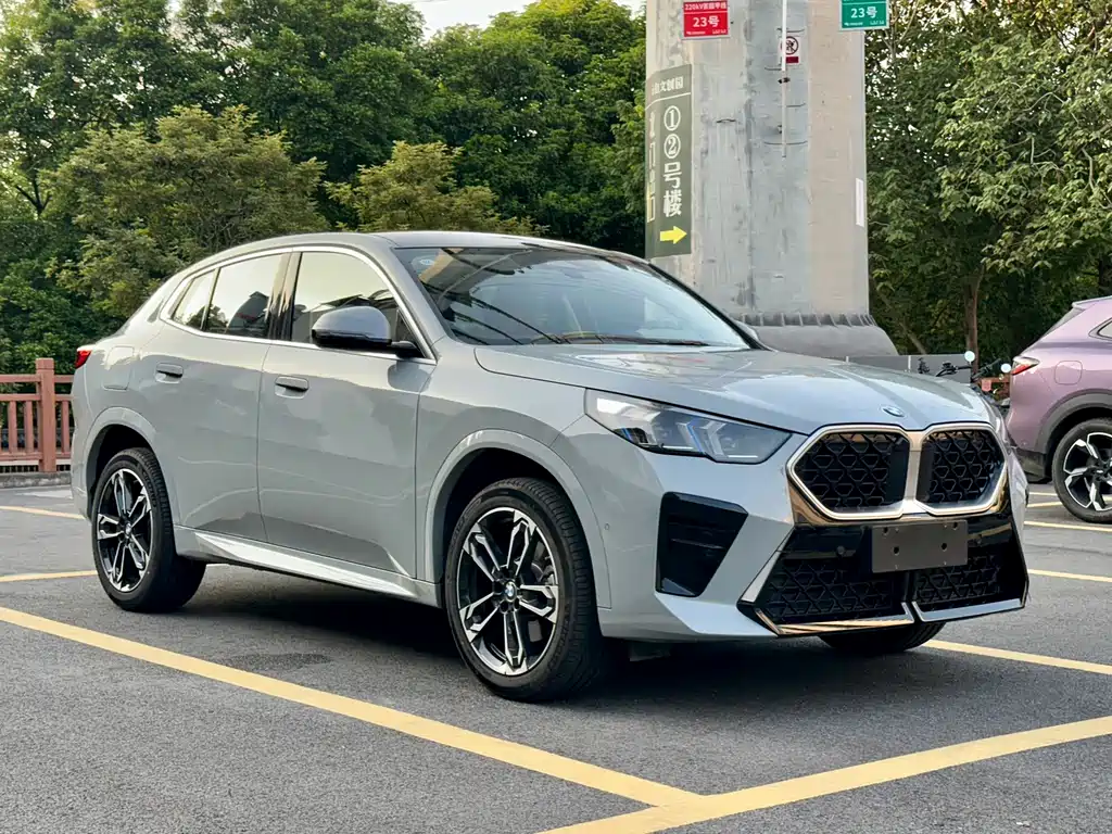 BMW X2 (Import) — миниатюра 3