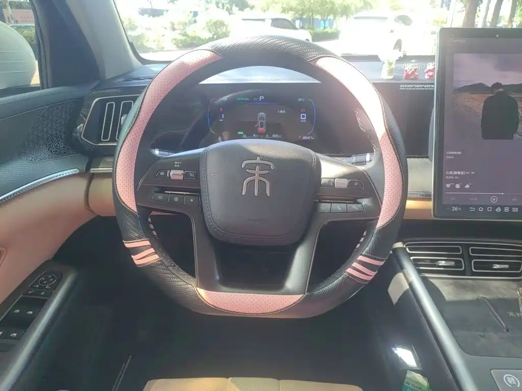BYD Pro New Energy — миниатюра 6