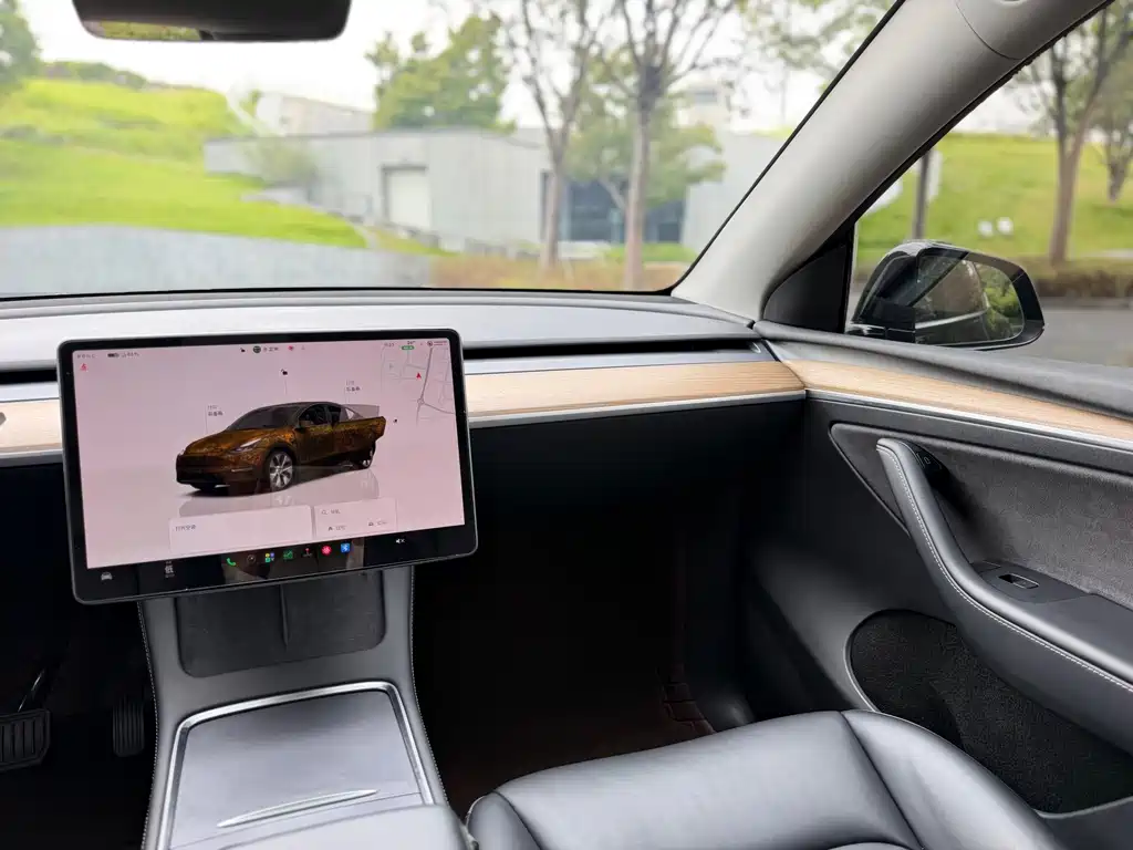 Tesla Model Y — миниатюра 18