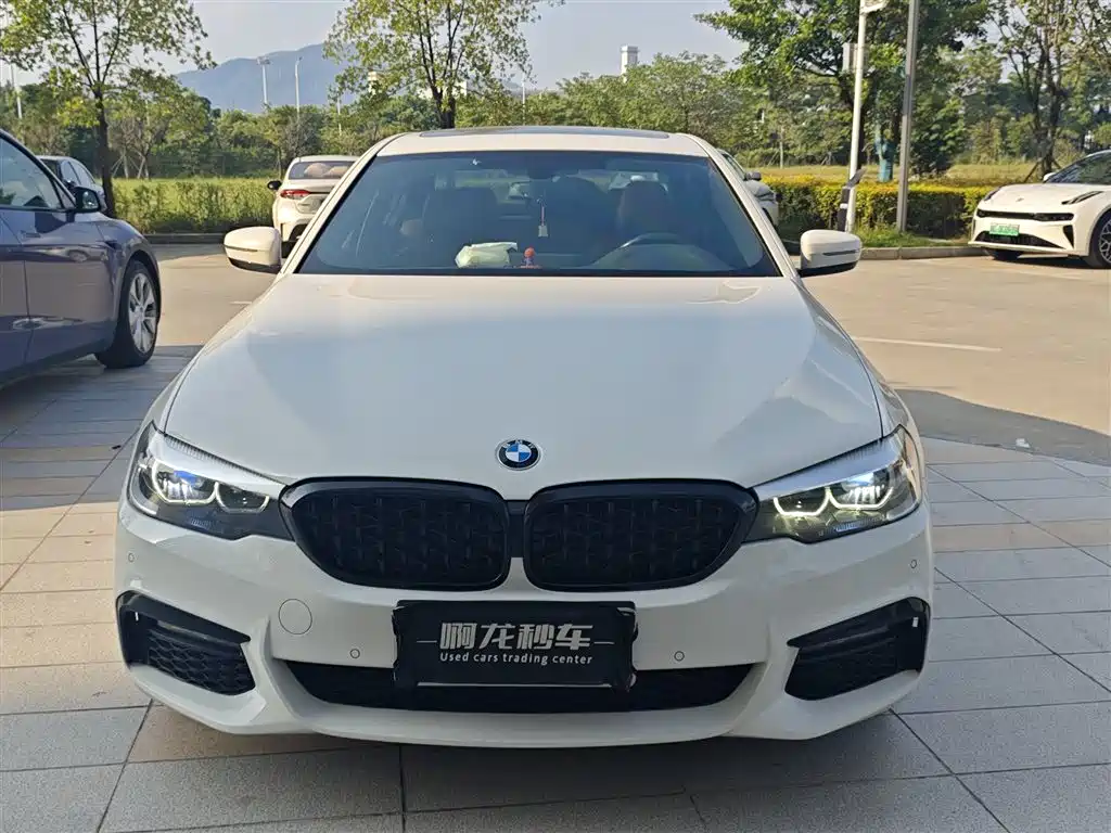 BMW 5 Series (Import) — миниатюра 2