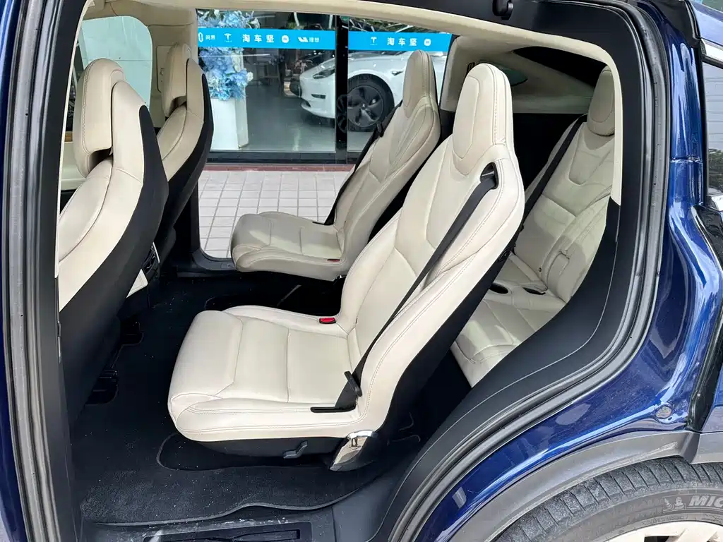 Tesla Model X 2017 Model X 100D