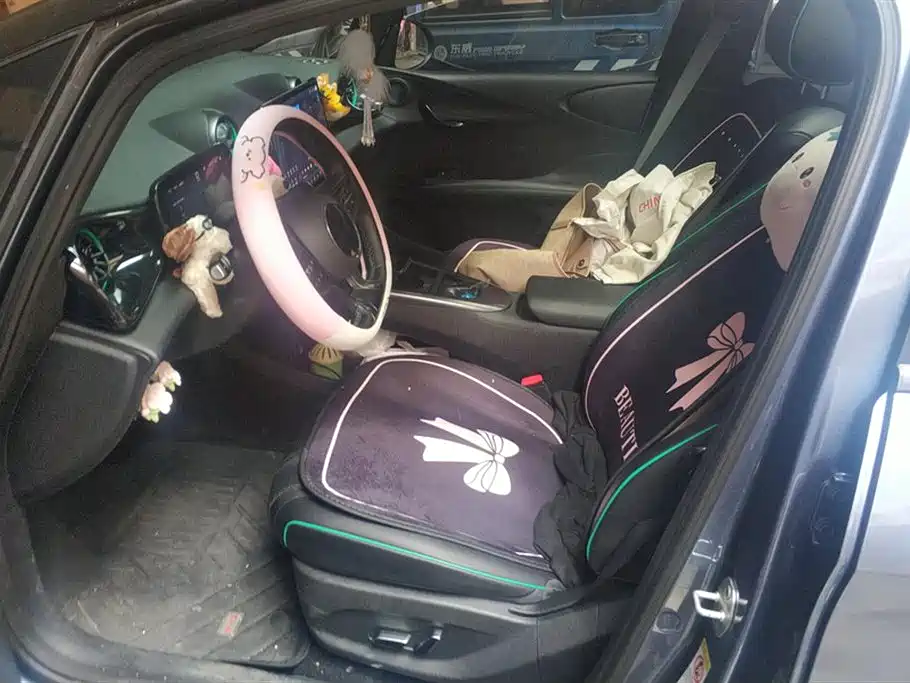 BYD Dolphin 2025 Smart Drive 410km Fashion