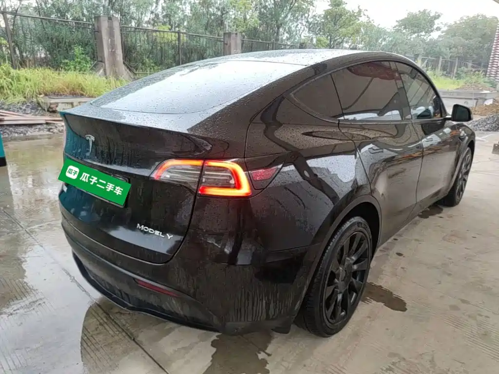 Tesla Model Y — миниатюра 7