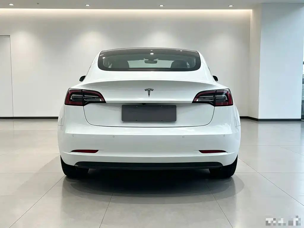 Tesla Model 3 — миниатюра 6