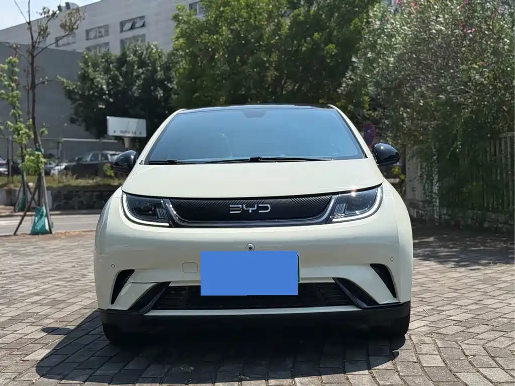 BYD Dolphin — миниатюра 2
