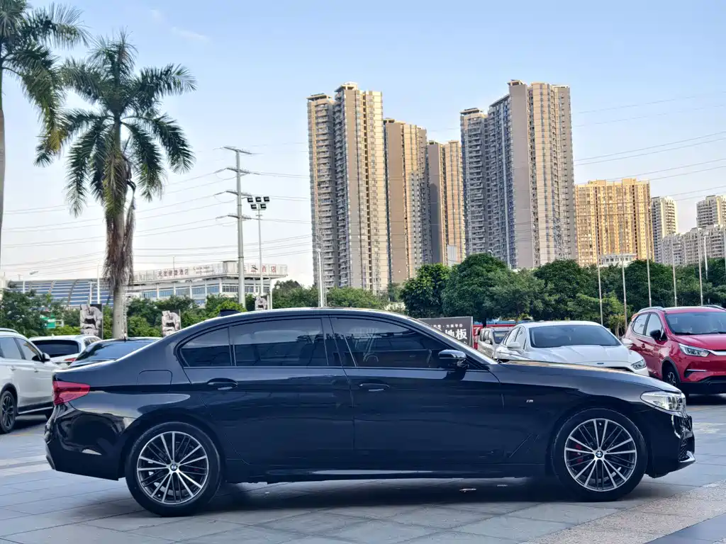 BMW 5 Series 5 2020 530Li Premium M Sport