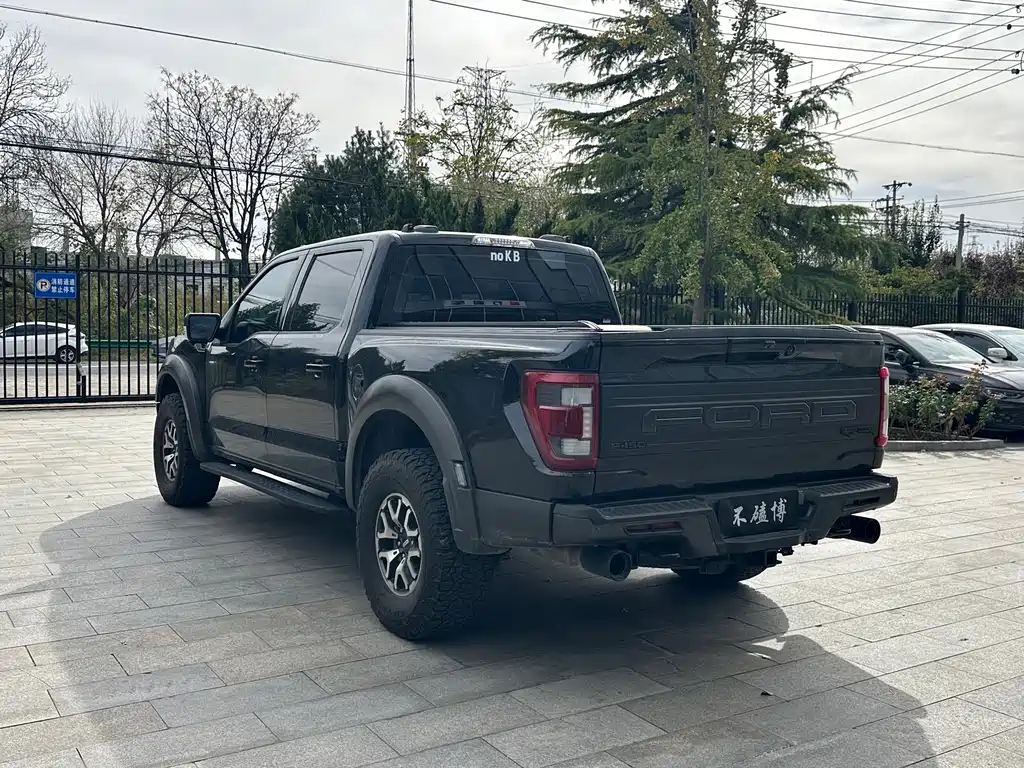 Ford F-150 Raptor — миниатюра 12