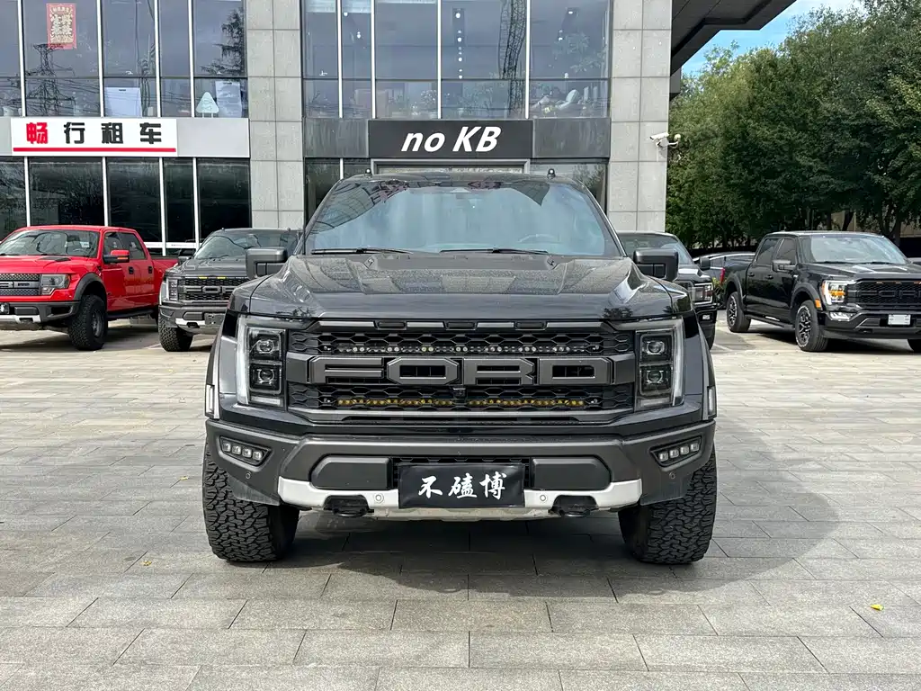 Ford F-150 Raptor — миниатюра 2