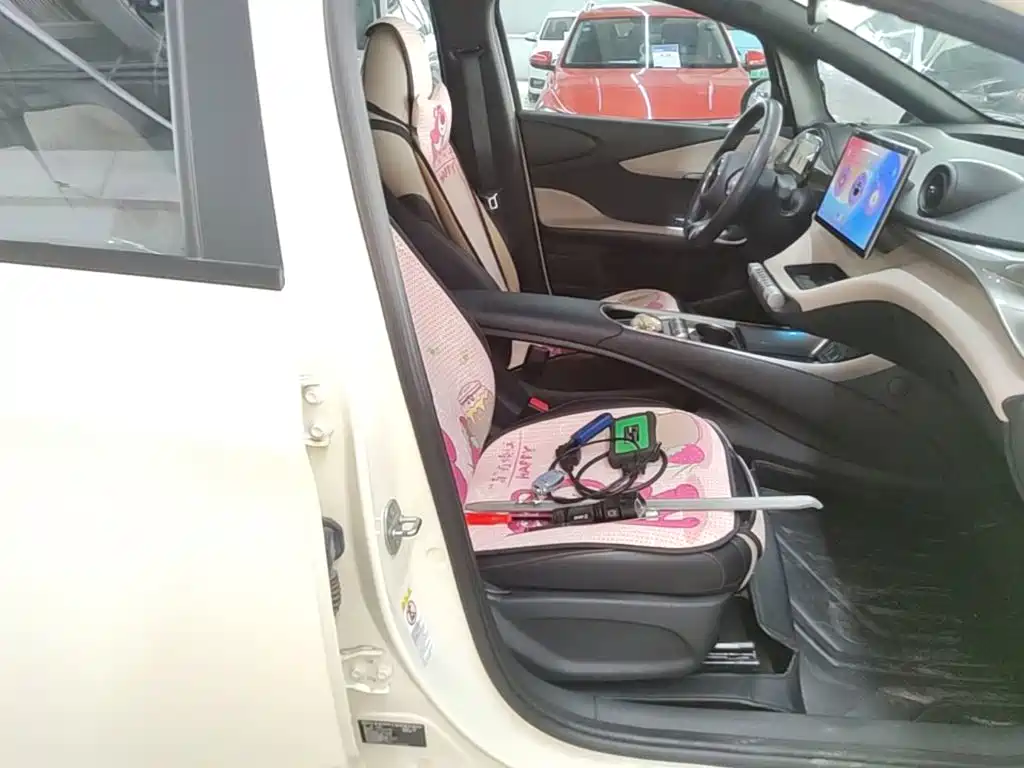 BYD Dolphin — миниатюра 25