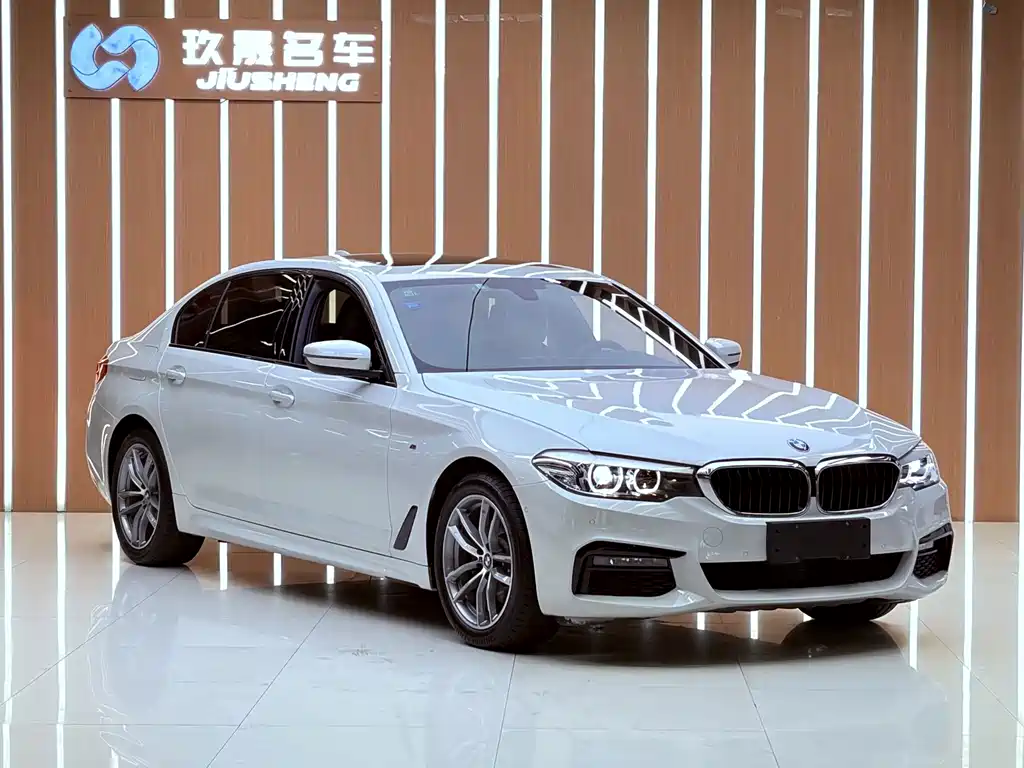 BMW 5 Series — миниатюра 3