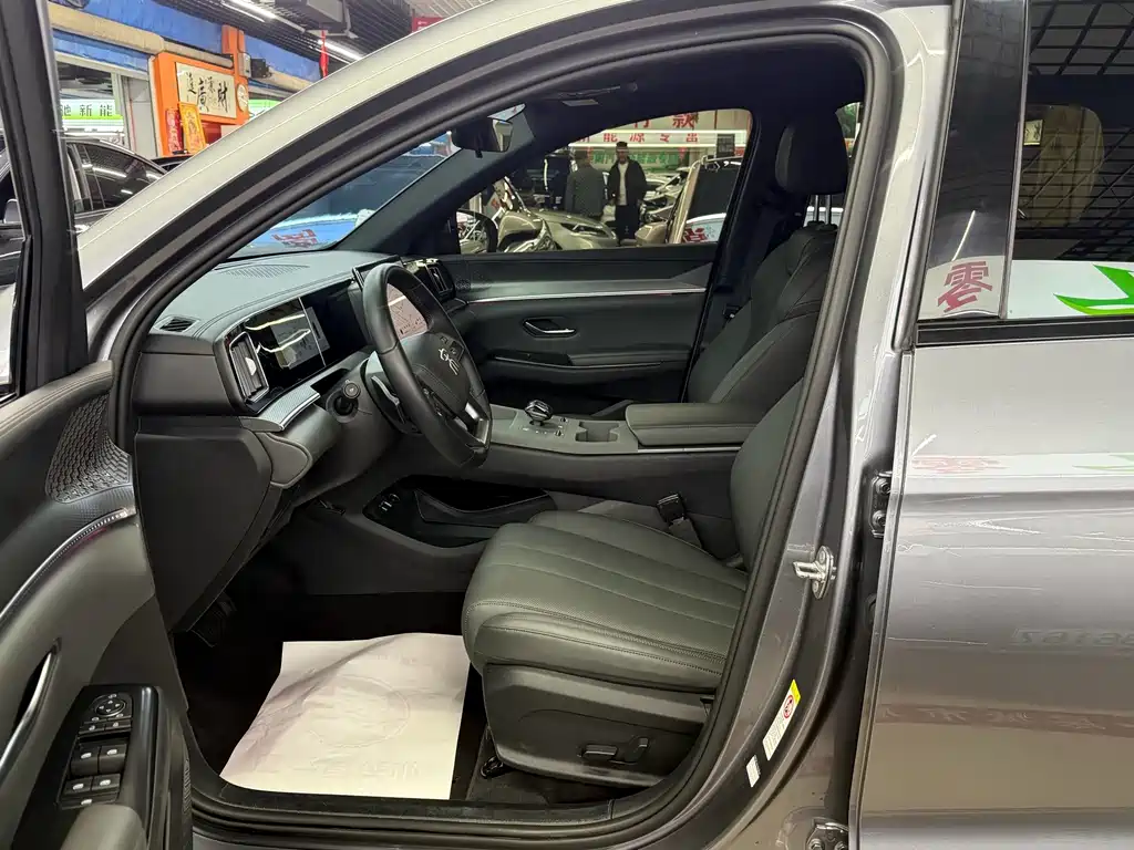 BYD Pro New Energy — миниатюра 7