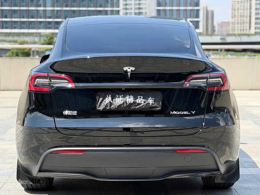 Tesla Model Y — миниатюра 4
