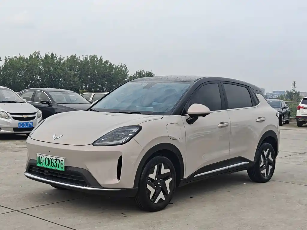Wuling Bingo S