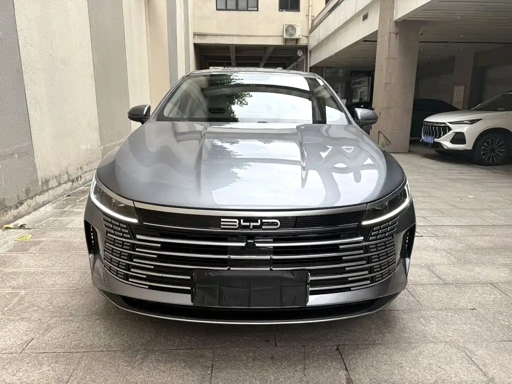 BYD Destroyer 05 2024 DM-i 55KM Luxury