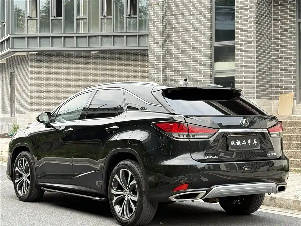 Lexus RX 2020 300 Elegant VI