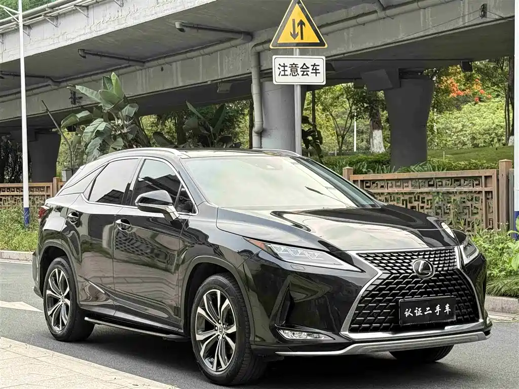 Lexus RX 2020 300 Elegant VI