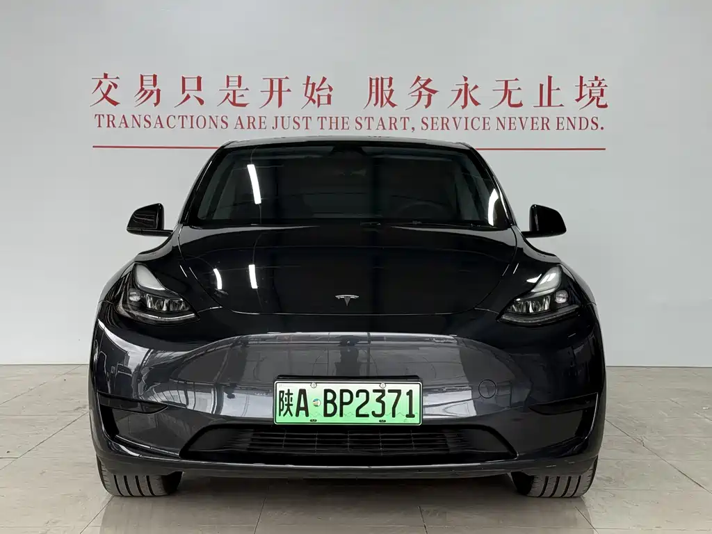 Tesla Model Y — миниатюра 2