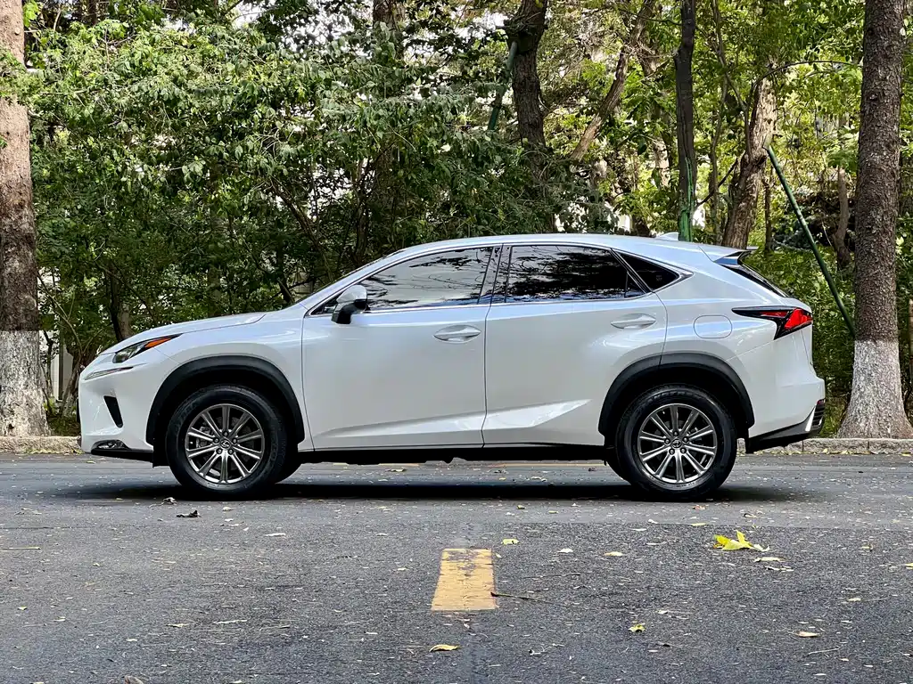 Lexus NX — миниатюра 13