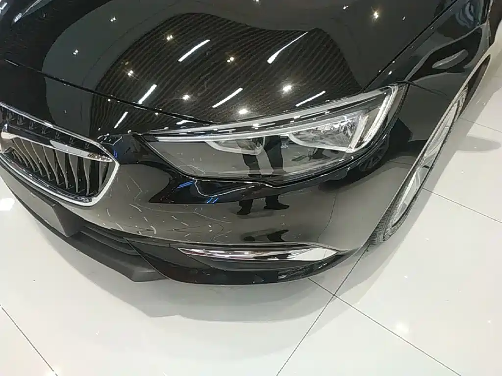 Buick Regal — миниатюра 24