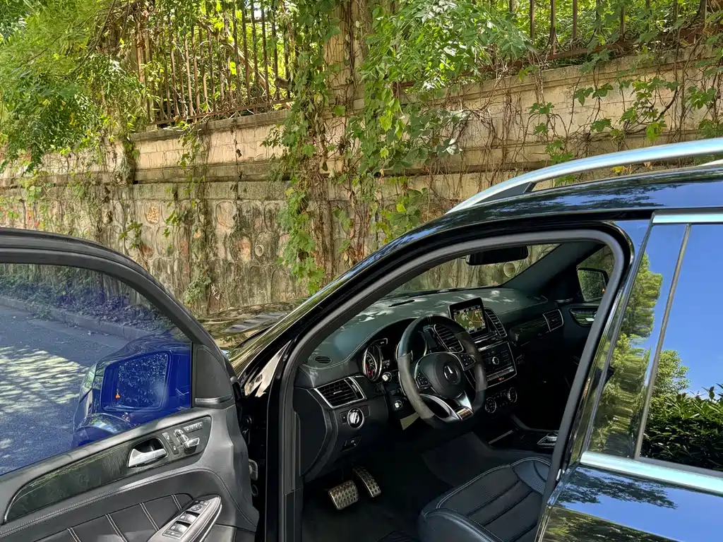 Mercedes-Benz GLS AMG — миниатюра 16