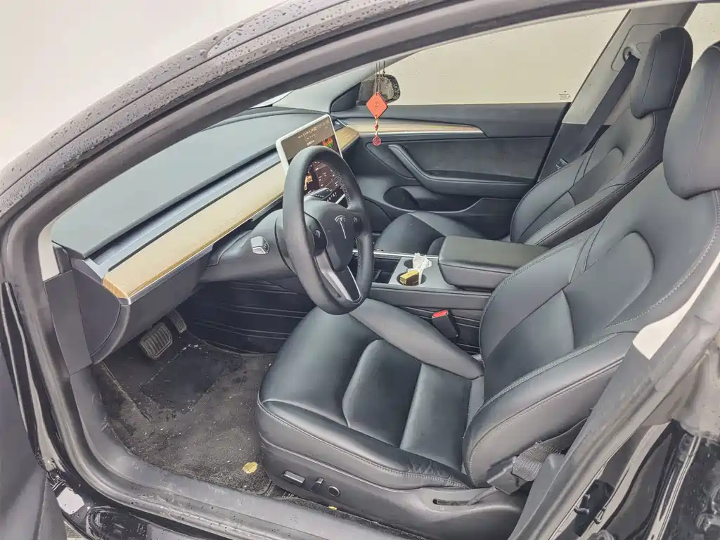 Tesla Model 3 — миниатюра 8