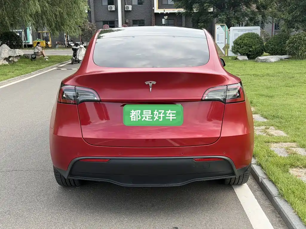 Tesla Model Y — миниатюра 5