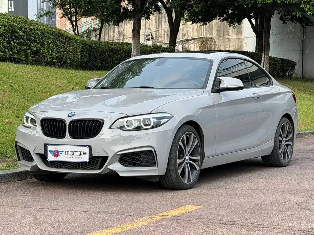 BMW 2 Series (Import)