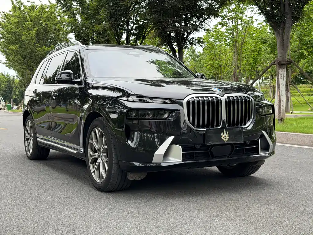 BMW X7 — миниатюра 3