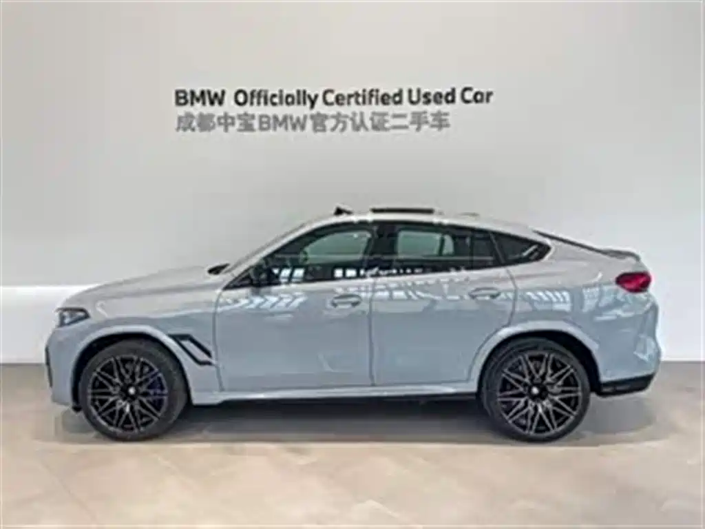 BMW X6 M — миниатюра 2