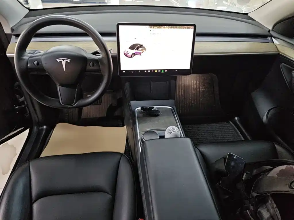 Tesla Model Y — миниатюра 10