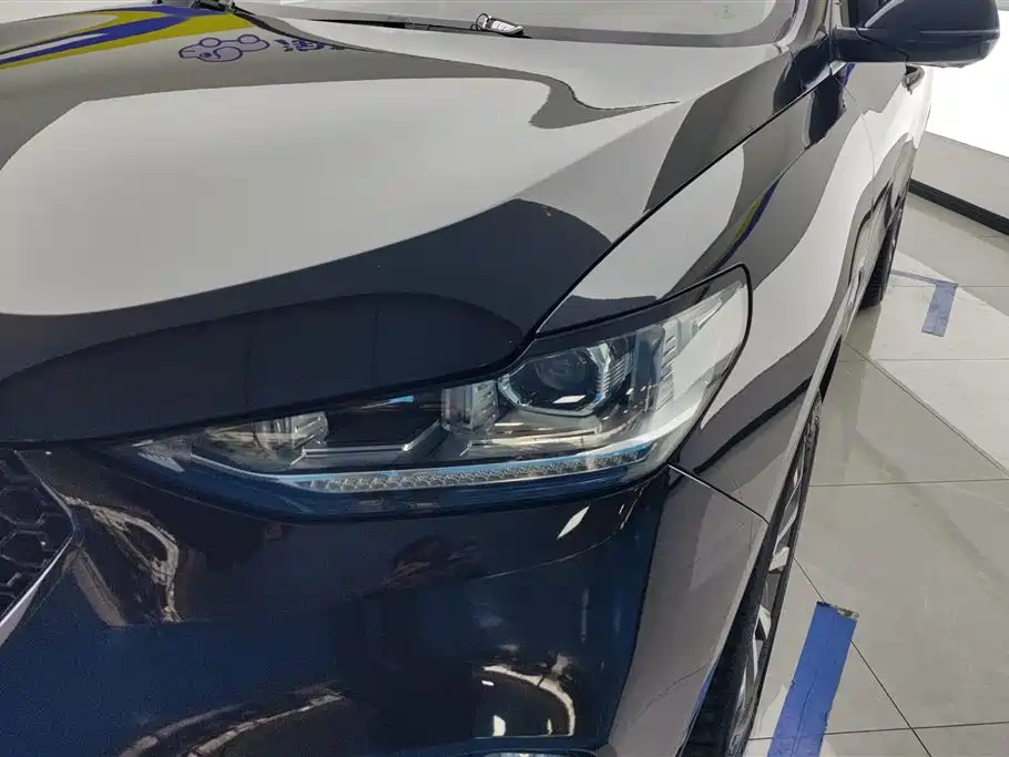 WEI PAI WEI BRAND VV6