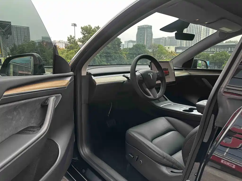 Tesla Model Y — миниатюра 13