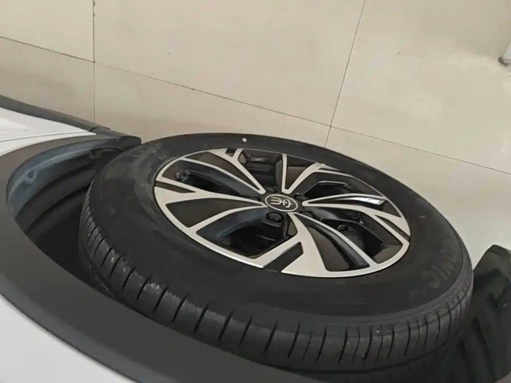 BYD Pro New Energy — миниатюра 23