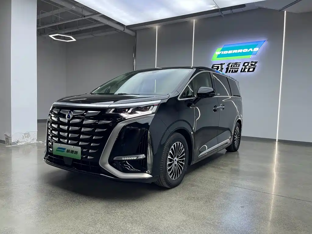 Denza Denza D9