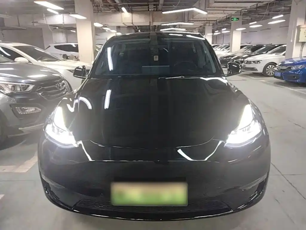 Tesla Model Y — миниатюра 3