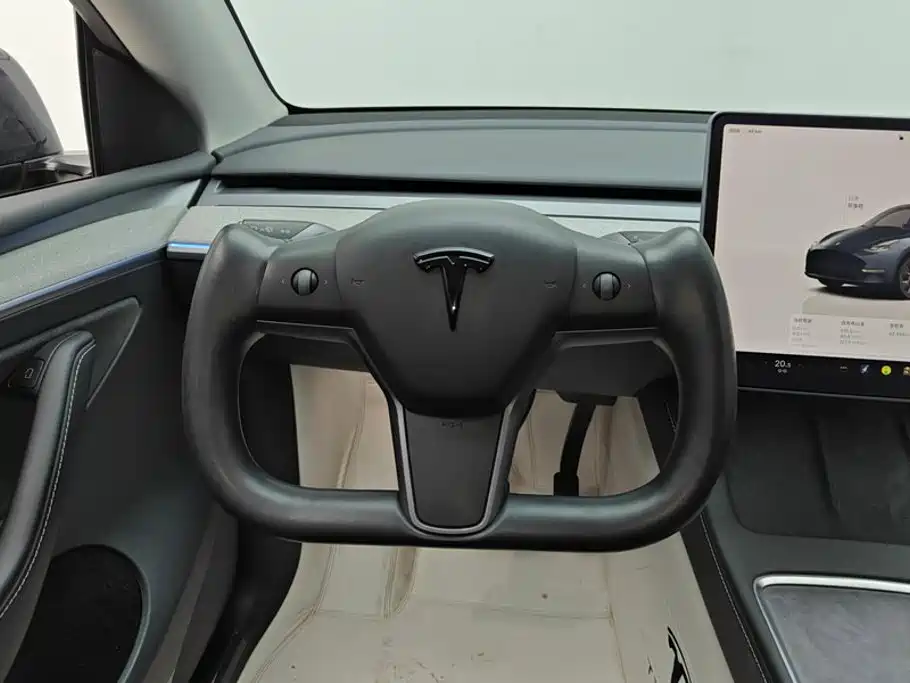 Tesla Model Y — миниатюра 15
