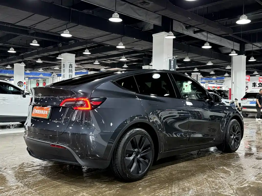 Tesla Model Y — миниатюра 9