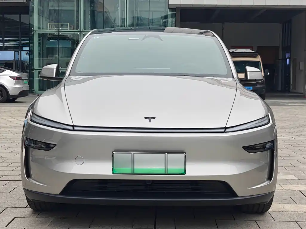 Tesla Model Y — миниатюра 2