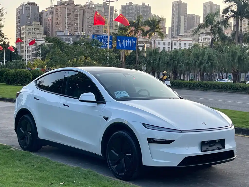 Tesla Model Y — миниатюра 3