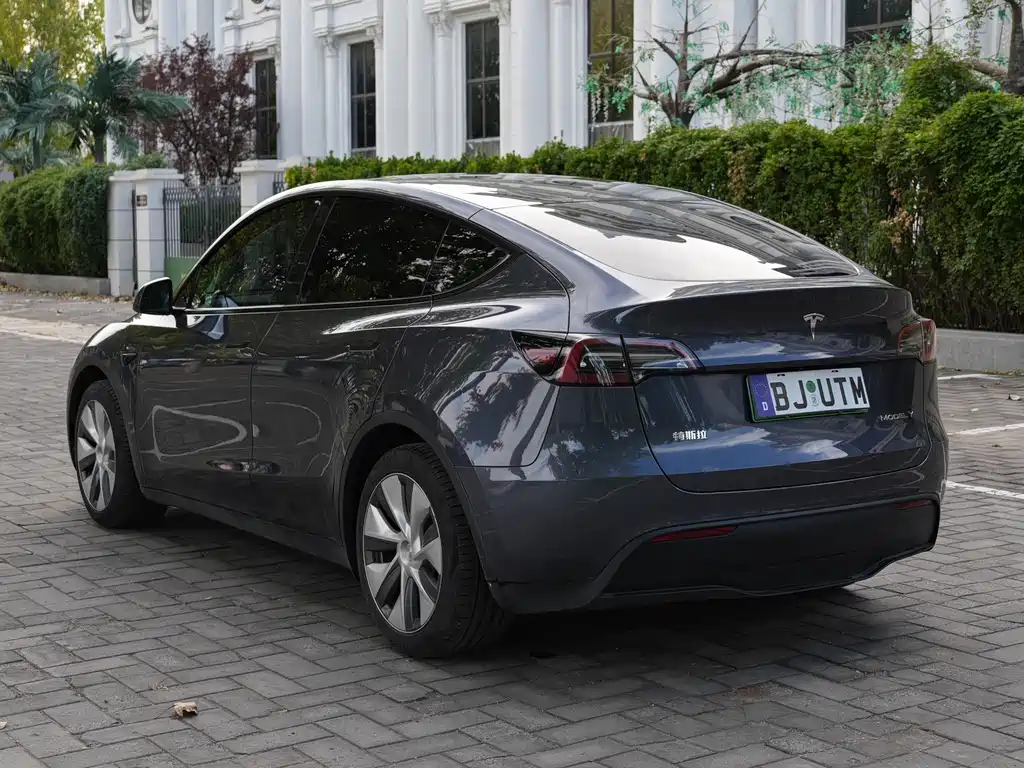 Tesla Model Y — миниатюра 7