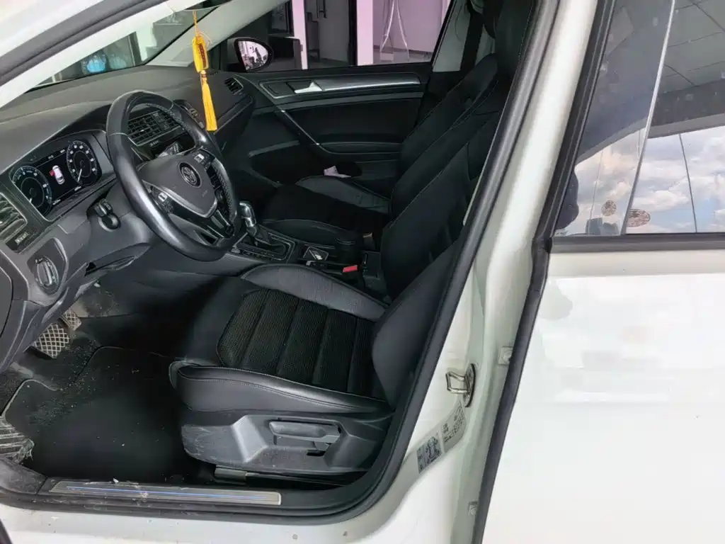 Volkswagen Golf New Energy (Import) — миниатюра 15