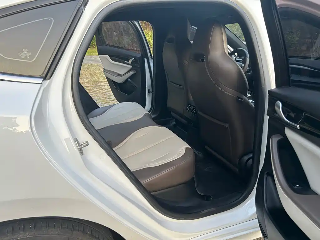BYD Qin PLUS — миниатюра 4