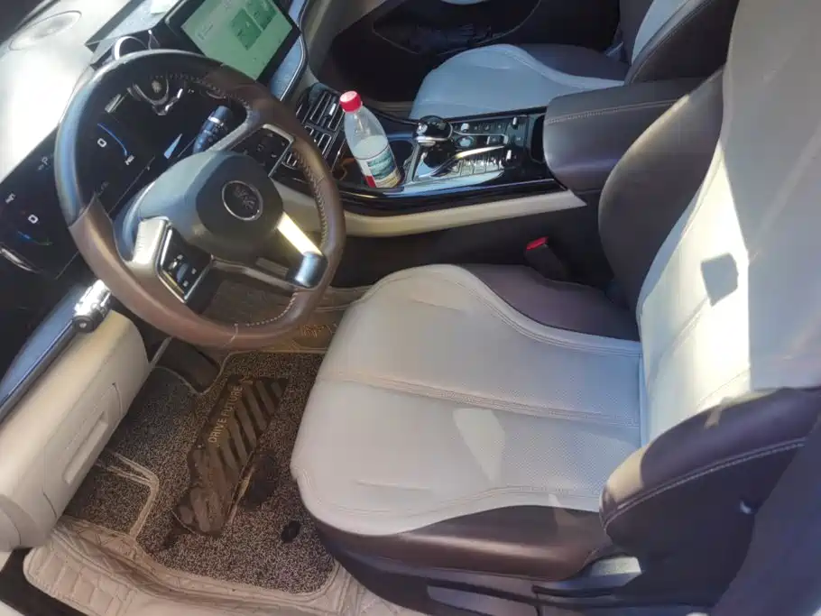 BYD Qin PLUS — миниатюра 9