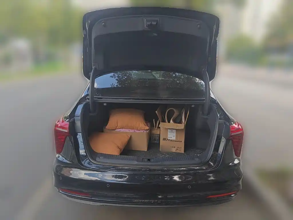 Hongqi Hongqi H5 PHEV — миниатюра 15